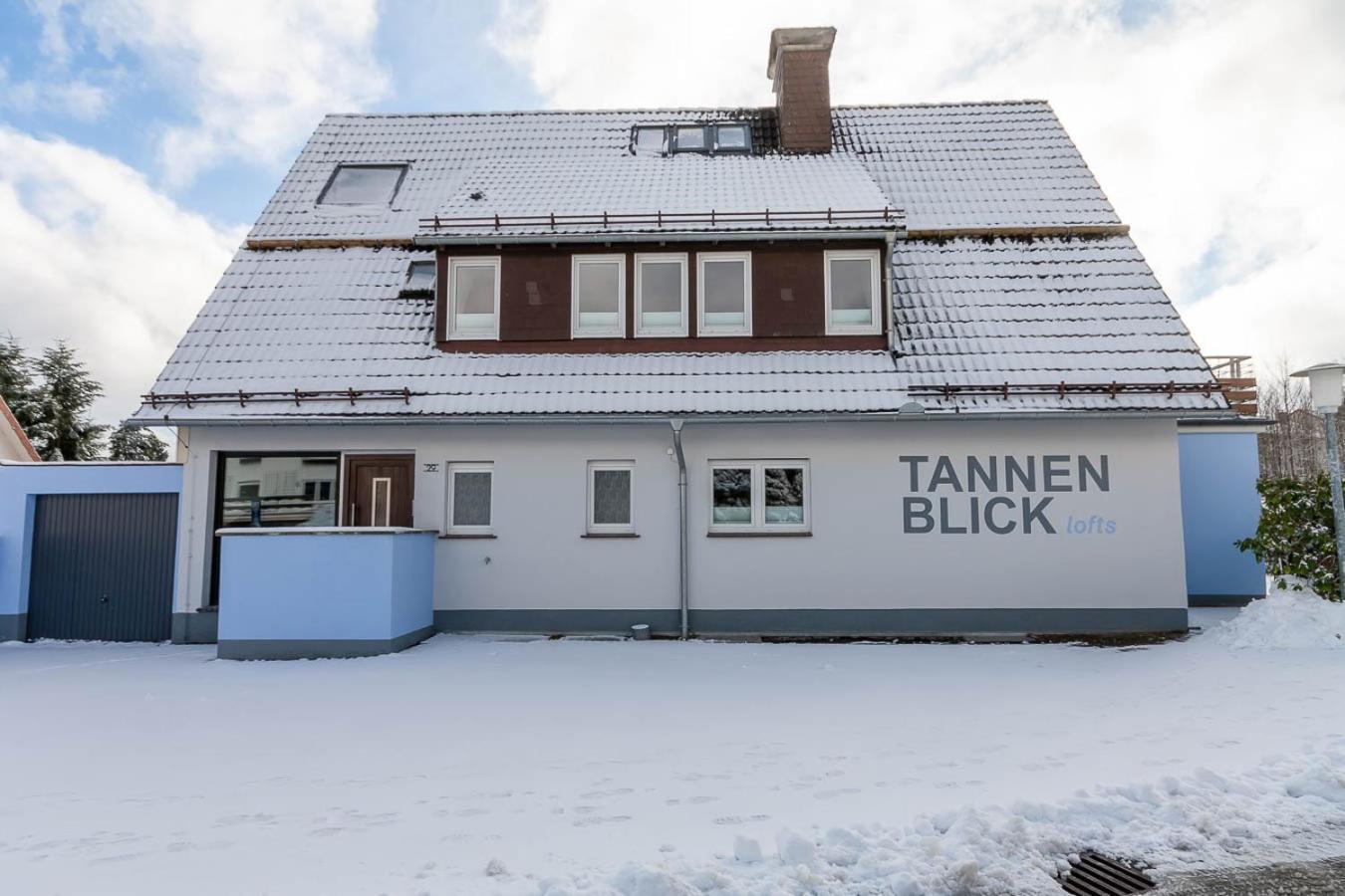 Ferienwohnung Familien Loft Im Haus Tannenblick Lofts Браунлаге Экстерьер фото